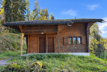 Chalet de 5.5 aux Mayens-de-Sion