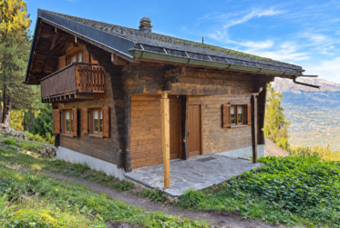 Chalet de 5.5 aux Mayens-de-Sion