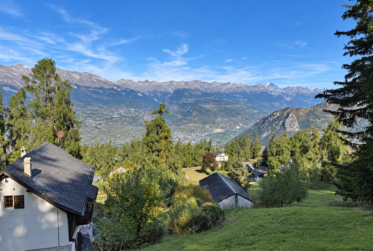 Chalet de 5.5 aux Mayens-de-Sion